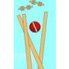 Live Cricket Commentary On Your Phone